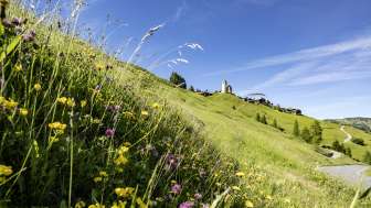 Lohn mit der reformierten Kirche am Schamserberg Lohn mit der reformierten Kirche am Schamserberg