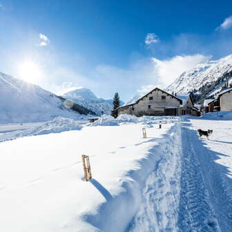 Hinterrhein im Winter