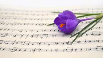 Konzert Frühling (pixabay)