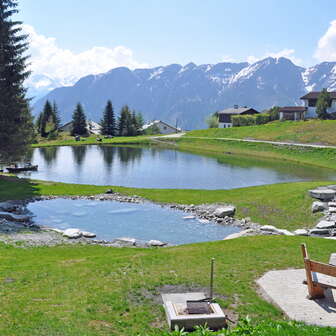 Der Patrutgsee im Sommer