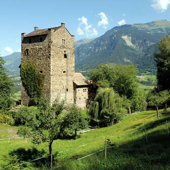 Burg Ehrenfels