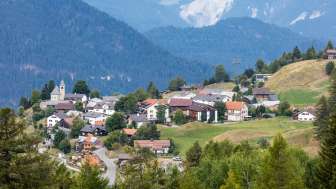 Feldis im Sommer