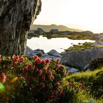 Der Lai Grand im Spätsommer