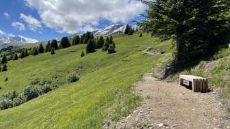 Beobachtungsbank Summapunt mit Aussicht ins Val Schons Beobachtungsbank Summapunt mit Aussicht ins Val Schons