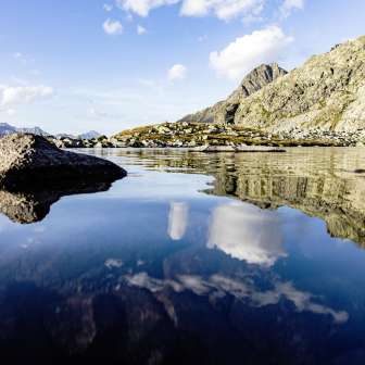 Bergseeli Splügenpass