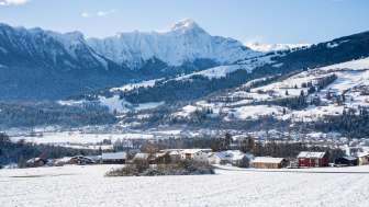 Pratval im Frühling