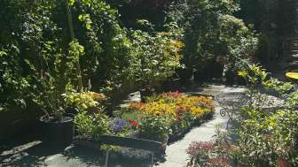 Gartenführungen Kurgarten Rothenbrunnen 