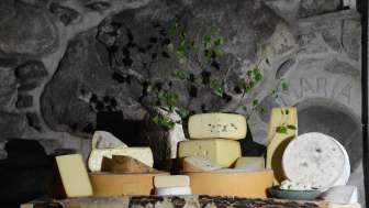 Besichtigung Sennerei Andeer