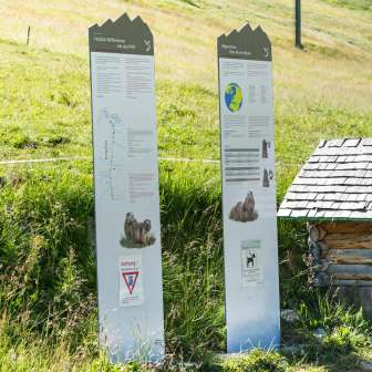 Murmeltierlehrpfad