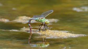 Fotografie Workshop "Kleine Welt ganz gross"