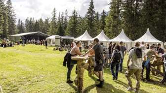 2025 Openair Rheinwald Festgelände