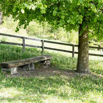 Sitzbank bei der Feuerstelle Plaun da Glenna