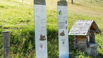 Murmeltierlehrpfad