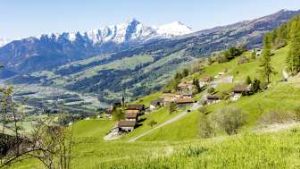 Scheid im Domleschg