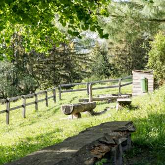 Feuerstelle Plaun da Glenna Almens