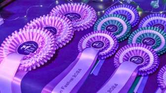 2026 Alpin Festival Sieger