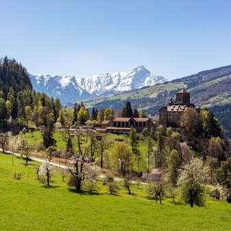 Schloss Ortenstein