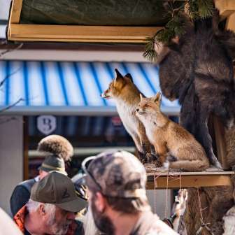 Fellmarkt Thusis