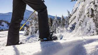 Thomi's Schneeschoutouren - zur Alp Piänetsch