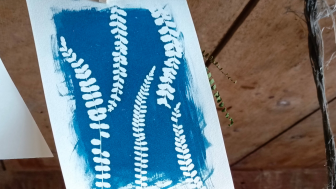 Experimentelle Pflanzendrucke auf Stoff und Papier