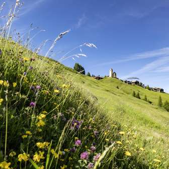Lohn im Frühling