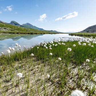 Lai Pintg in der Moorlandschaft Anarosa