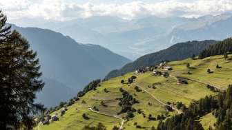 Trans im Sommer Trans im Sommer