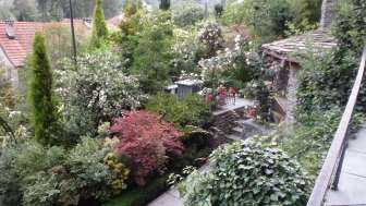Gartenführungen Kurgarten Rothenbrunnen 