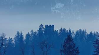 Die Burgruine Neu Sins / Canova