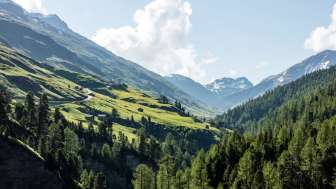 Blick ins Avers mit Cresta Blick ins Avers mit Cresta