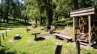 Feuerstelle Casealas Feldis