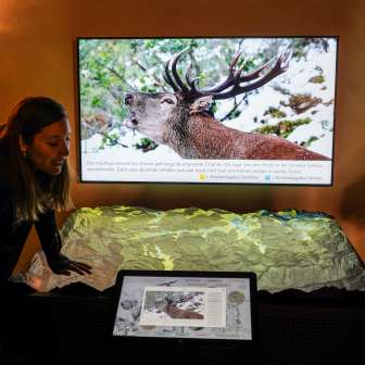 Interaktives Relief Splügen