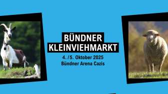 Bündner Kleinviehmarkt