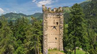 Die Burgruine Neu Sins / Canova