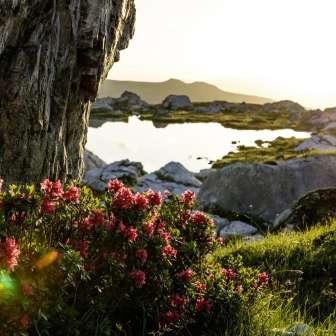 Der Lai Grand im Spätsommer