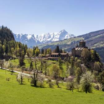Schloss Ortenstein