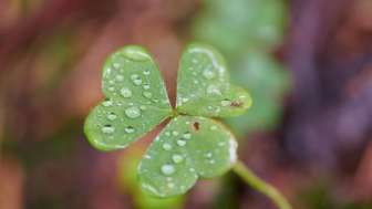 Workshop Grundlagen der Fotografie