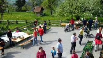 2024 Almens Setzlingsmarkt