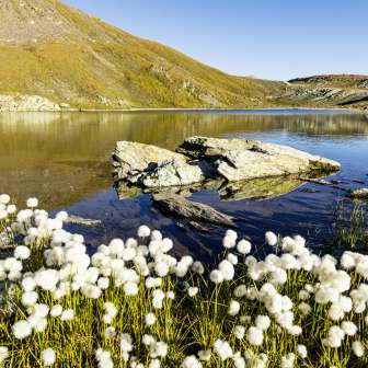 Die Flüeseen im Avers