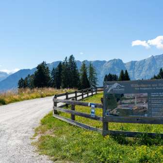 Die Einfahrt zum Stellplatz +plus+ in Sarn