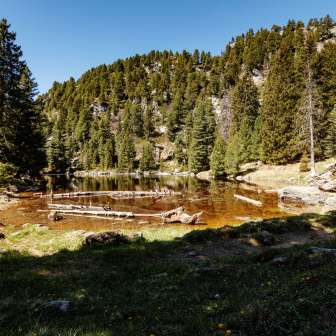 Der Lai Ner im Sommer