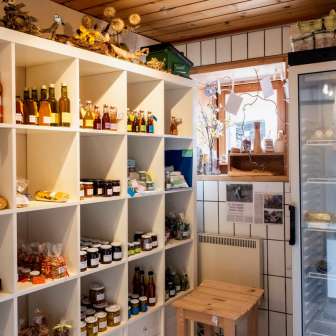 Die Stizunetta Feldis