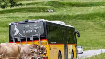 Postauto Schamserberg