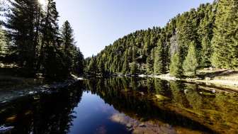 Der Lai Ner im Sommer