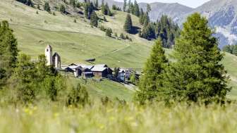 Lohn am Schamserberg Lohn am Schamserberg