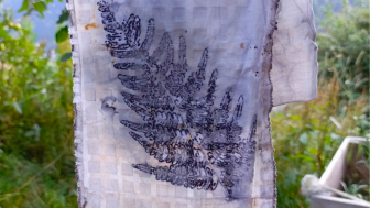 2026 Experimentelle Pflanzendruck Foto2