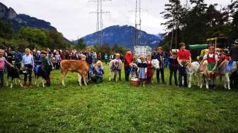 Domleschger Herbstfest Domleschger Herbstfest