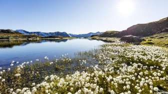 Die Flüeseen im Avers