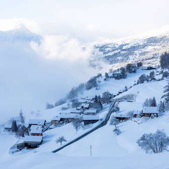 Scheid im Winter