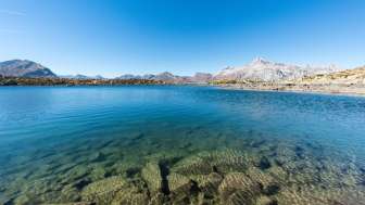 Surettaseen oberhalb Splügen